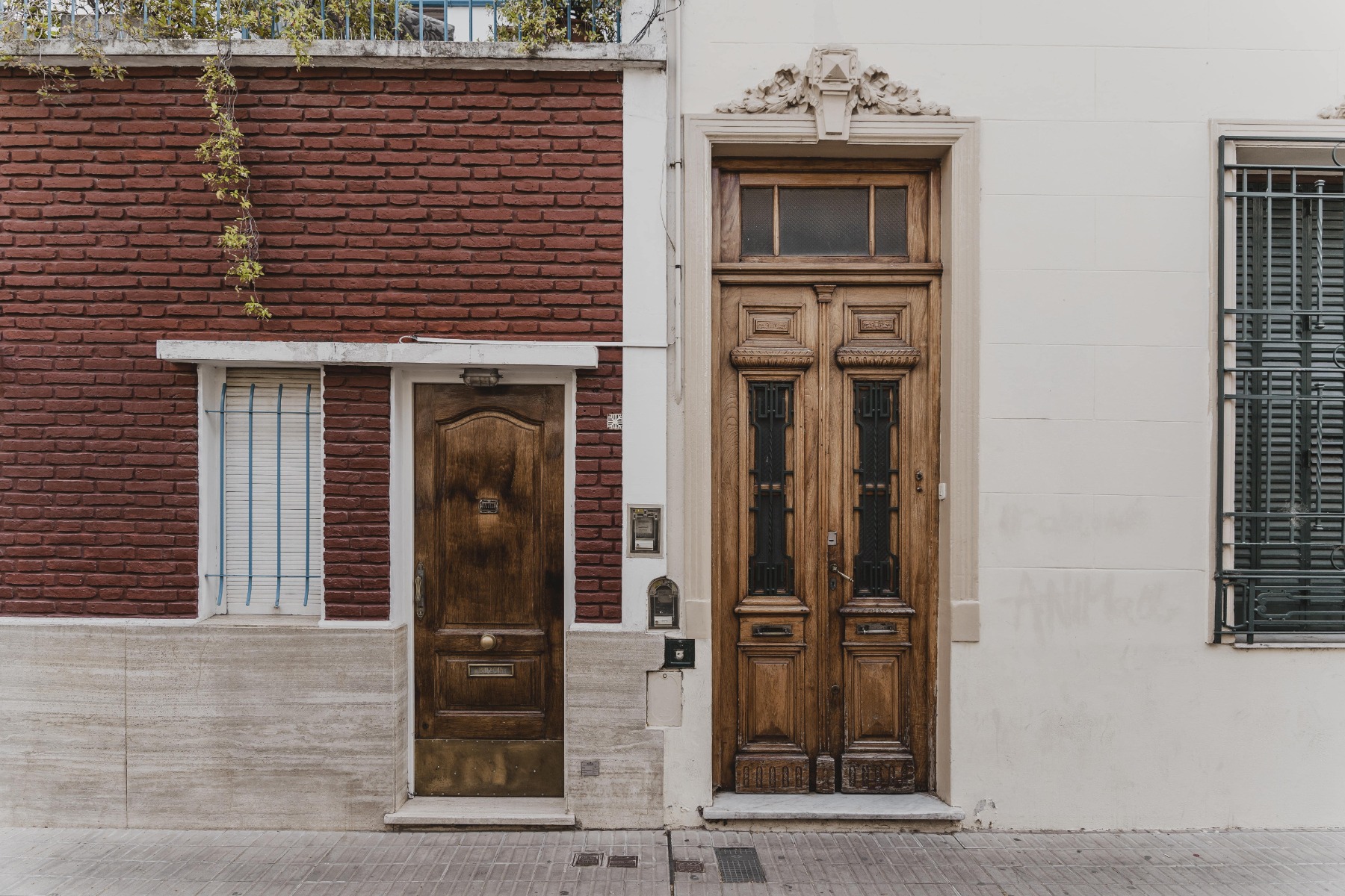 porte entrée en bois le roi de la fenetre